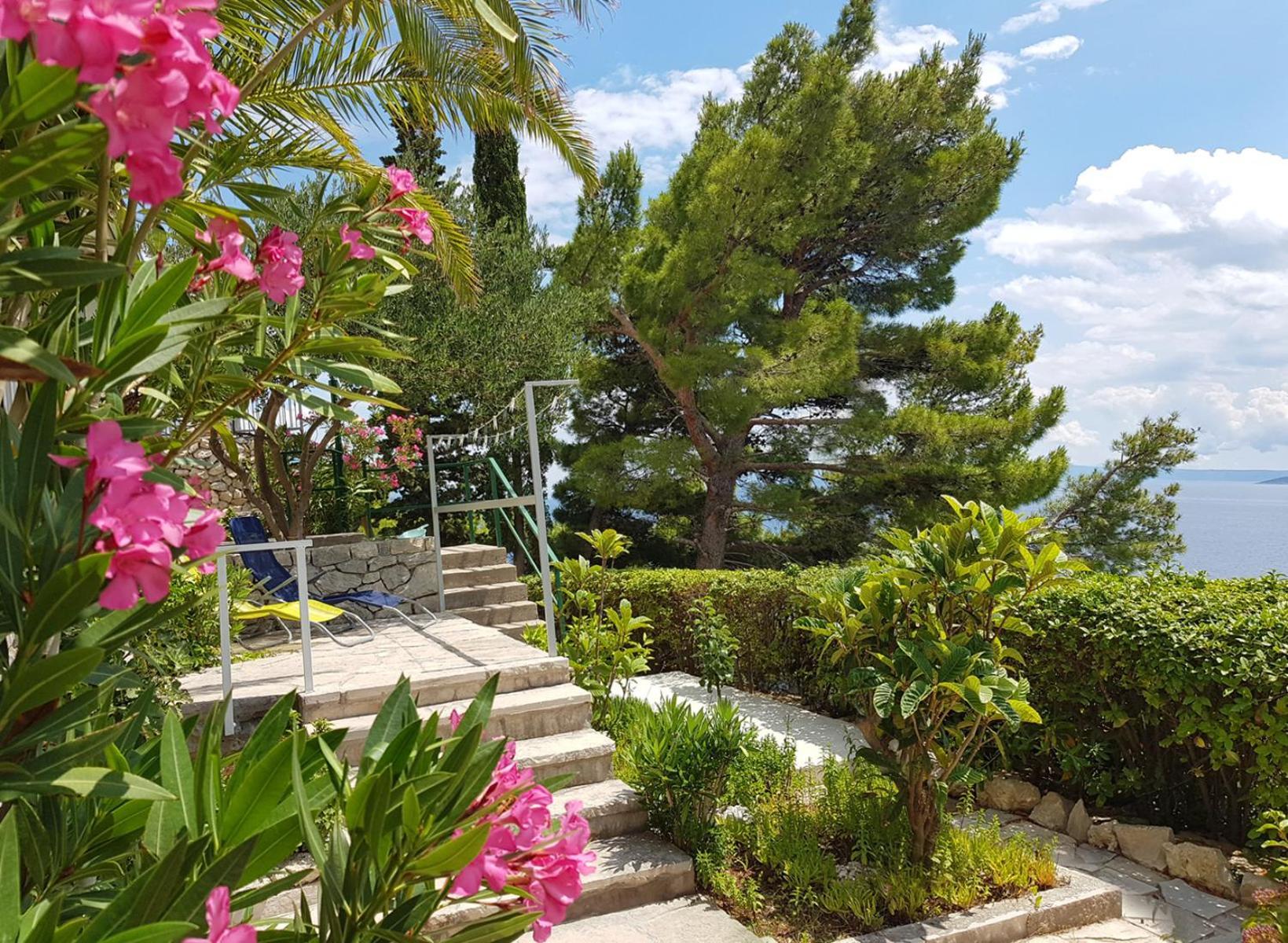 Villa Skalinada With Sea View بريلا الغرفة الصورة